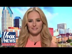 Read more about the article Tomi Lahren: This is why the media is ‘sowing division’ in America