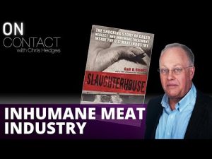 Read more about the article Slaughterhouse