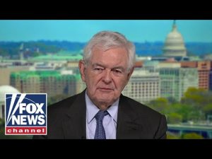 Read more about the article Newt Gingrich: Democrats are ‘running over people’s civil liberties’