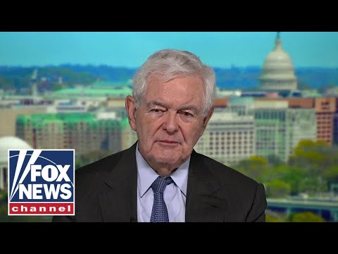 You are currently viewing Newt Gingrich: Democrats are ‘running over people’s civil liberties’