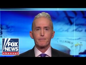 Read more about the article Gowdy: When will Biden get upset about this?