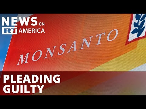 You are currently viewing Monsanto fined $12 million for flouting environmental laws