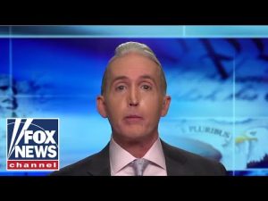 Read more about the article Gowdy: This is anti-democratic