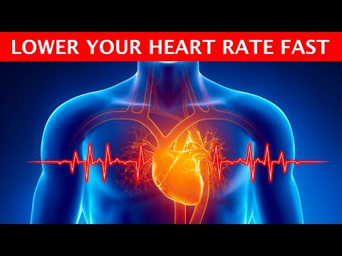 Read more about the article How to Immediately Lower Heart Rate