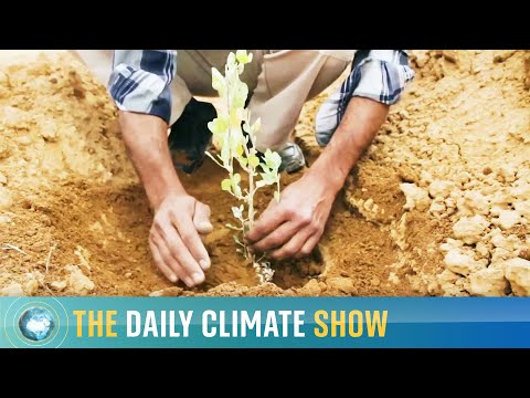 Read more about the article The Daily Climate Show – Sky News looks at the 2021 climate data