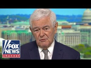 Read more about the article Gingrich: Democrats are out of touch with reality