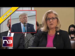 Read more about the article Trump BLASTS J6 Committee With the Obvious, Causes Liz Cheney to Flip Her Lid
