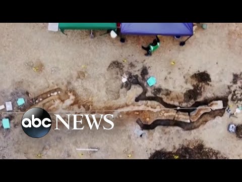 You are currently viewing Drone footage reveals sea dragon fossil found in UK