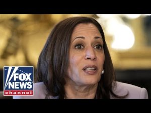 Read more about the article Kamala Harris fumbled this high-profile meeting: Sara Carter