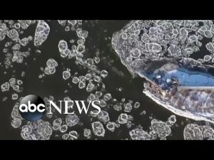 Read more about the article Drone views of spectacular ice floes