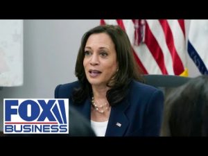 Read more about the article Kamala Harris offers no answer on inflation crisis