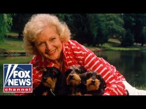 Read more about the article Remembering Hollywood icon Betty White