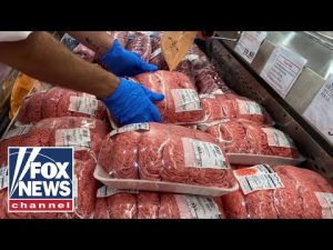 Read more about the article Tomi Lahren: Regulating The Meat Packing Industry Should Be A Bipartisan Issue