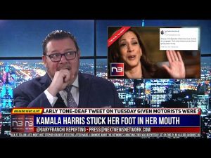 Read more about the article Kamala Harris Stuck Her Foot In Her Mouth In A Major Way During I-95 Standstill