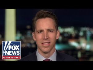 Read more about the article Democrats want a ‘one-party state’: Hawley