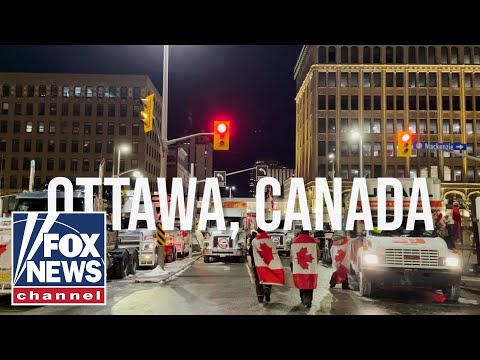 You are currently viewing Canadian truckers react to easing COVID-19 restrictions: ‘Not enough’ | Digital Original