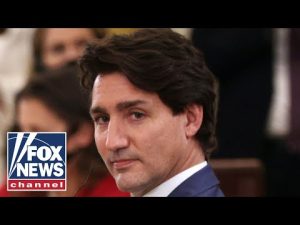 Read more about the article Trudeau has lost control of the situation: Canadian Parliament member