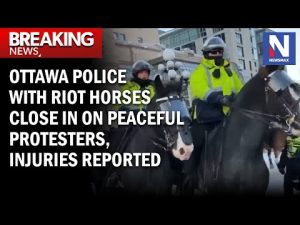 Read more about the article ‘Canada’s darkest day’: Rebel News founder rips Trudeau’s “evil regime” as riot horses close in