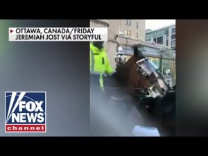 Read more about the article Incident of woman trampled by Canadian police horse under investigation