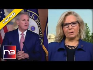 Read more about the article Here’s Why Kevin McCarthy Endorsed Liz Cheney’s Opponent For Congress