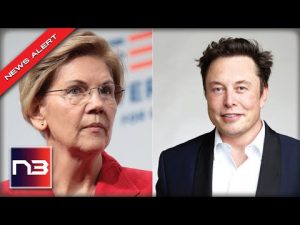 Read more about the article Elizabeth Warren Was Just BUSTED by Elon Musk for LIES About His Taxes