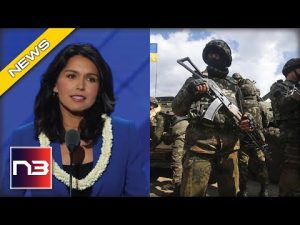 Read more about the article Tulsi Gabbard WARNS Of Forces Pushing Us To Go To War In Ukraine