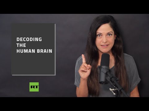 You are currently viewing Self-learning computer decodes math in human brain