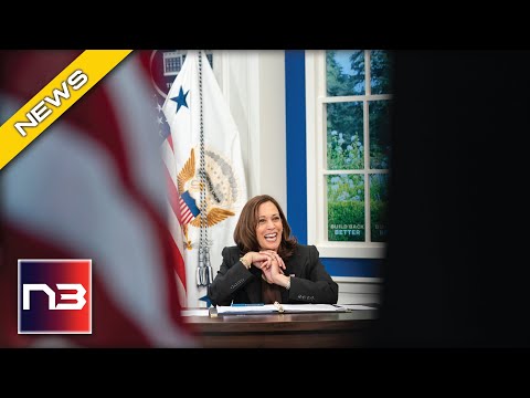 You are currently viewing Former Democratic Presidential Candidate Explains Why Kamala Harris Has Been A Complete Disaster