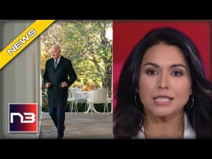 Read more about the article Tulsi Gabbard Slams Biden; Tells Us Why His Plan For Putin Is Weak And Why It Won’t Work