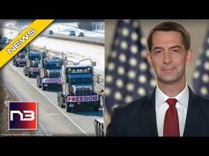 Read more about the article Tom Cotton Bashes The Blatant BLM Hypocrisy Over What’s Happening In Canada