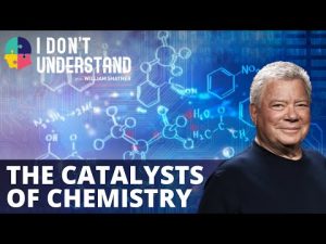 Read more about the article IDU: Catalysts in chemistry