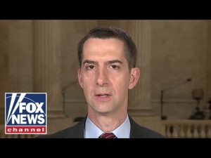 Read more about the article Quit letting Putin ‘set the terms’ of U.S. support for Ukraine: Sen. Cotton