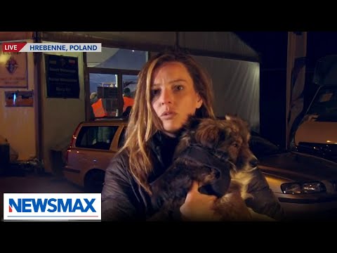 You are currently viewing Foreign Correspondent details escape from Ukraine to Poland with Lucky the Dog | REPORT