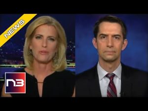 Read more about the article Sen Cotton Sounds The Alarm On The Taiwan Scenario Unfolding Overseas