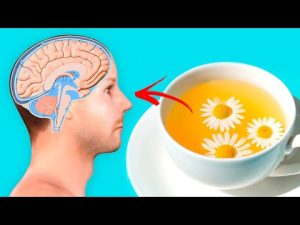 Read more about the article Drink Chamomile Tea Every Night for These Amazing Benefits