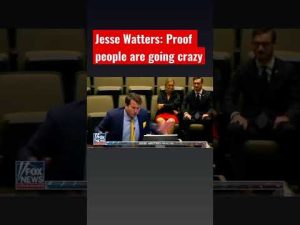 Read more about the article Watters reacts to ‘crazy’ guy trolling city council: ‘nailed it’