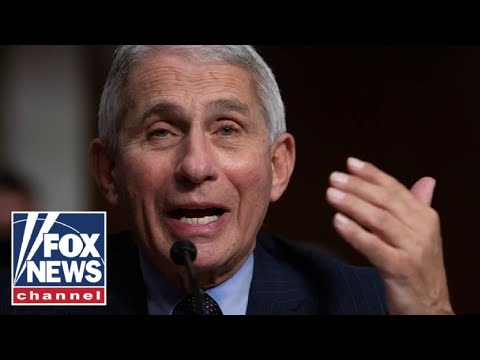 You are currently viewing Tammy Bruce rips Fauci for fearmongering: ‘He needs to leave the scene’