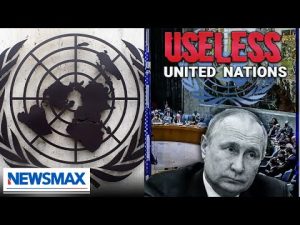 Read more about the article United Nations “ought to be disbanded” | Grant Stinchfield