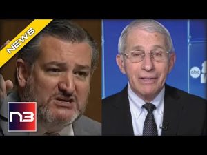 Read more about the article Ted Cruz Has ENOUGH Of Fauci And Doesn’t Hold Back On His Recent Scorching Of Him