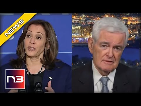 You are currently viewing Gingrich Tells Us Why He Thinks Kamala Harris Is The DUMBEST VP In US History