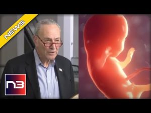 Read more about the article This Democrats Vote Doomed Schumer’s Radical Abortion Until Birth Bill