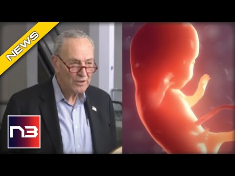 You are currently viewing This Democrats Vote Doomed Schumer’s Radical Abortion Until Birth Bill