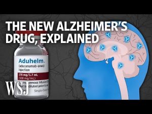 Read more about the article The Science Behind Aduhelm, a Controversial New Alzheimer’s Drug | WSJ