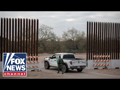 You are currently viewing Migrants know Biden will let them into America: Sen. Cotton