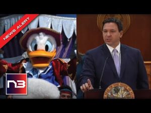 Read more about the article Gov DeSantis Just Told The Most Magical Place On Earth Where They Can Stick It