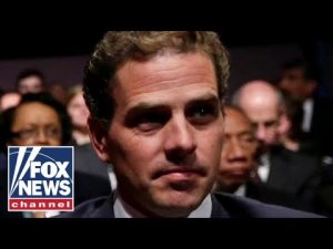 Read more about the article Chinese-linked firm paid Hunter Biden $100k: GOP senators