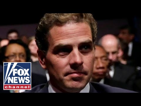 You are currently viewing Chinese-linked firm paid Hunter Biden $100k: GOP senators