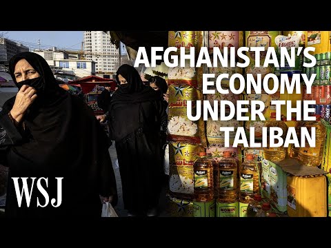 Read more about the article Afghanistan’s Fall Into Extreme Poverty, Explained | WSJ