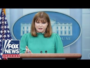 Read more about the article Live: White House director of communication Kate Bedingfield holds a briefing