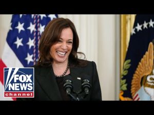 Read more about the article Concha: Kamala Harris was supposed to be plan B but now plan Z